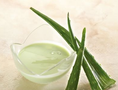 深圳丝足坊为您讲解芦荟的美白护肤效果